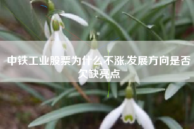 中铁工业股票为什么不涨,发展方向是否欠缺亮点