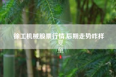 徐工机械股票行情,后期走势咋样