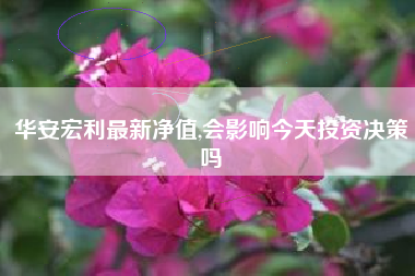 华安宏利最新净值,会影响今天投资决策吗