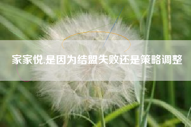 家家悦,是因为结盟失败还是策略调整