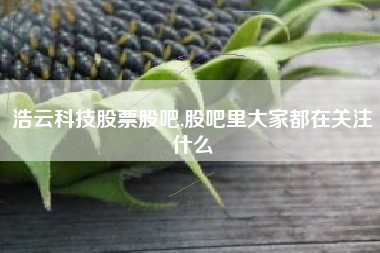 浩云科技股票股吧,股吧里大家都在关注什么