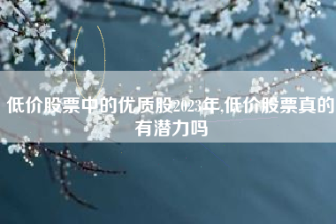 低价股票中的优质股2023年,低价股票真的有潜力吗