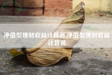 净值型理财收益计算器,净值型理财收益计算器