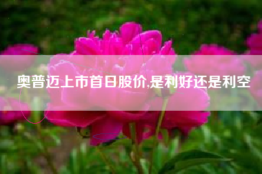 奥普迈上市首日股价,是利好还是利空