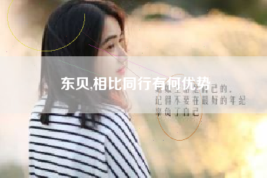 东贝,相比同行有何优势
