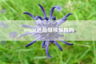 000639,还能继续保持吗