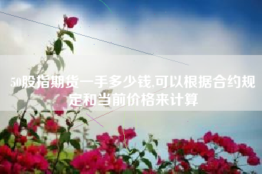 50股指期货一手多少钱,可以根据合约规定和当前价格来计算