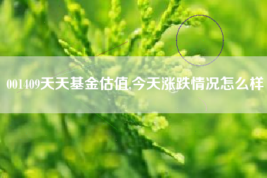 001409天天基金估值,今天涨跌情况怎么样