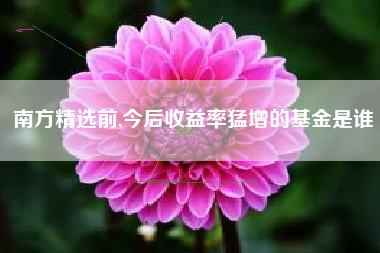 南方精选前,今后收益率猛增的基金是谁