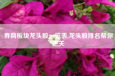 券商板块龙头股一览表,龙头股排名帮你把关