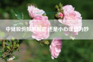 中储股份股票股吧,还是小心谨慎为妙