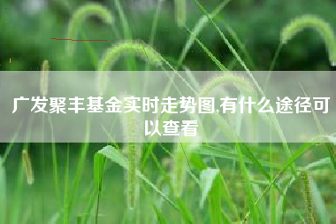 广发聚丰基金实时走势图,有什么途径可以查看