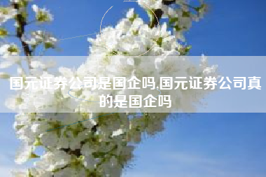 国元证券公司是国企吗,国元证券公司真的是国企吗