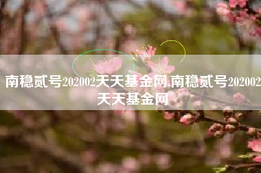 南稳贰号202002天天基金网,南稳贰号202002天天基金网