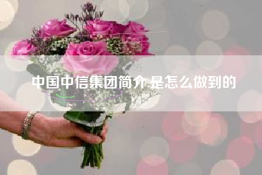 中国中信集团简介,是怎么做到的