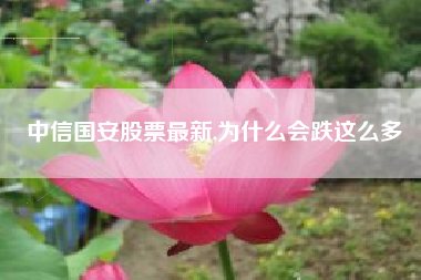 中信国安股票最新,为什么会跌这么多