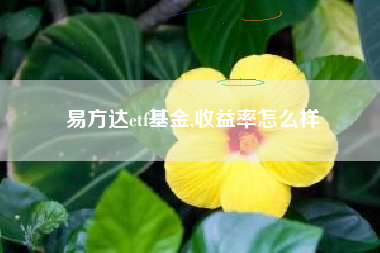 易方达etf基金,收益率怎么样