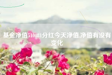 基金净值510081分红今天净值,净值有没有变化