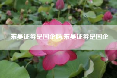 东吴证券是国企吗,东吴证券是国企