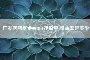 广发医药基金004851净值查,收益率是多少