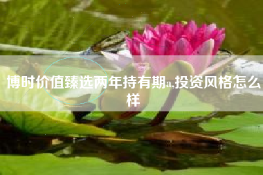 博时价值臻选两年持有期a,投资风格怎么样