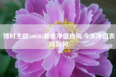 博时主题160505基金净值查询,今天净值表现如何