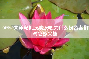 002249大洋电机股票股吧,为什么投资者们对它感兴趣