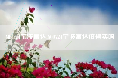 600724宁波富达,600724宁波富达值得买吗