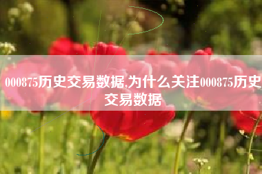 000875历史交易数据,为什么关注000875历史交易数据