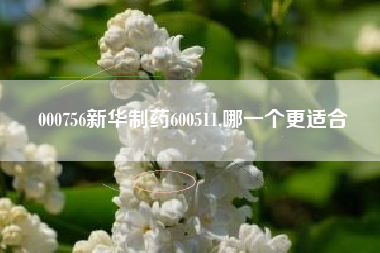 000756新华制药600511,哪一个更适合