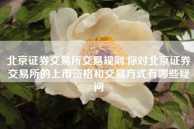 北京证券交易所交易规则,你对北京证券交易所的上市资格和交易方式有哪些疑问