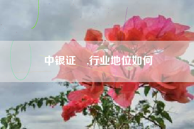 中银证劵,行业地位如何