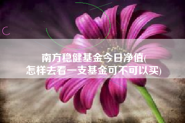 南方稳健基金今日净值(
怎样去看一支基金可不可以买)