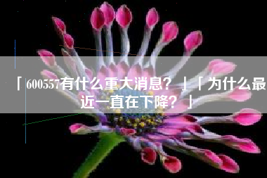 「600557有什么重大消息？」「为什么最近一直在下降？」