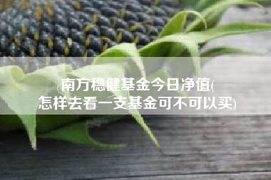 南方稳健基金今日净值(
怎样去看一支基金可不可以买)