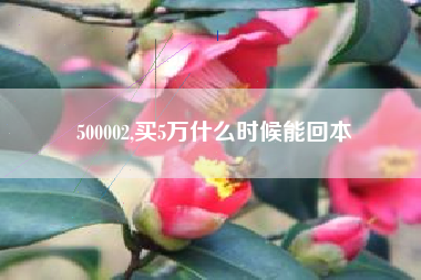 500002,买5万什么时候能回本