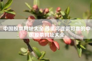 中国股票网址大全,哪里可提供可靠的中国股票网址大全