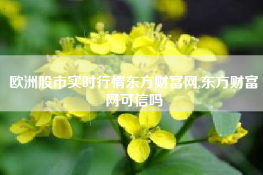 欧洲股市实时行情东方财富网,东方财富网可信吗