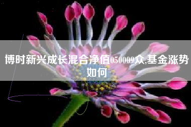 博时新兴成长混合净值050009众,基金涨势如何