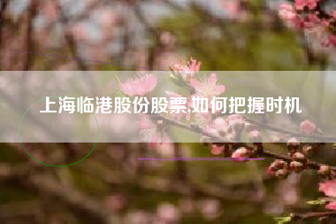 上海临港股份股票,如何把握时机