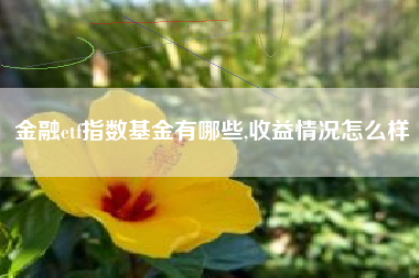 金融etf指数基金有哪些,收益情况怎么样