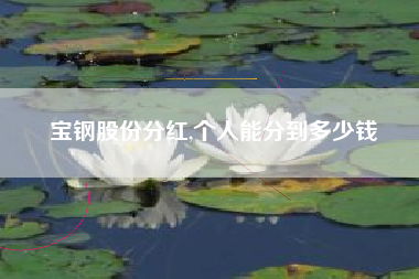 宝钢股份分红,个人能分到多少钱