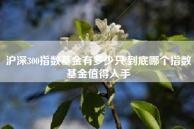 沪深300指数基金有多少只,到底哪个指数基金值得入手