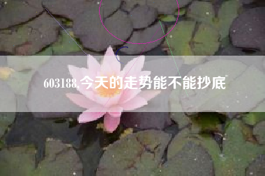 603188,今天的走势能不能抄底