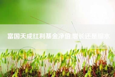 富国天成红利基金净值,增长还是缩水