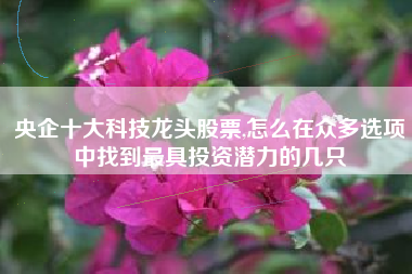 央企十大科技龙头股票,怎么在众多选项中找到最具投资潜力的几只