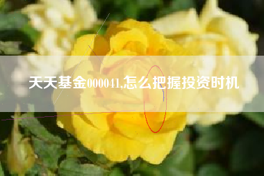 天天基金000041,怎么把握投资时机