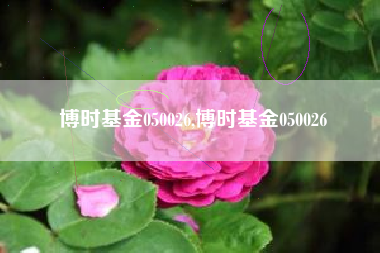 博时基金050026,博时基金050026
