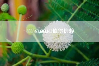 603363,603363值得信赖