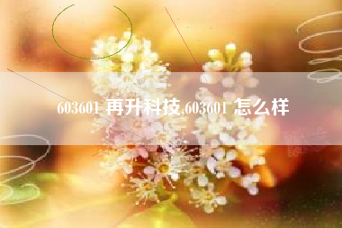603601 再升科技,603601 怎么样
